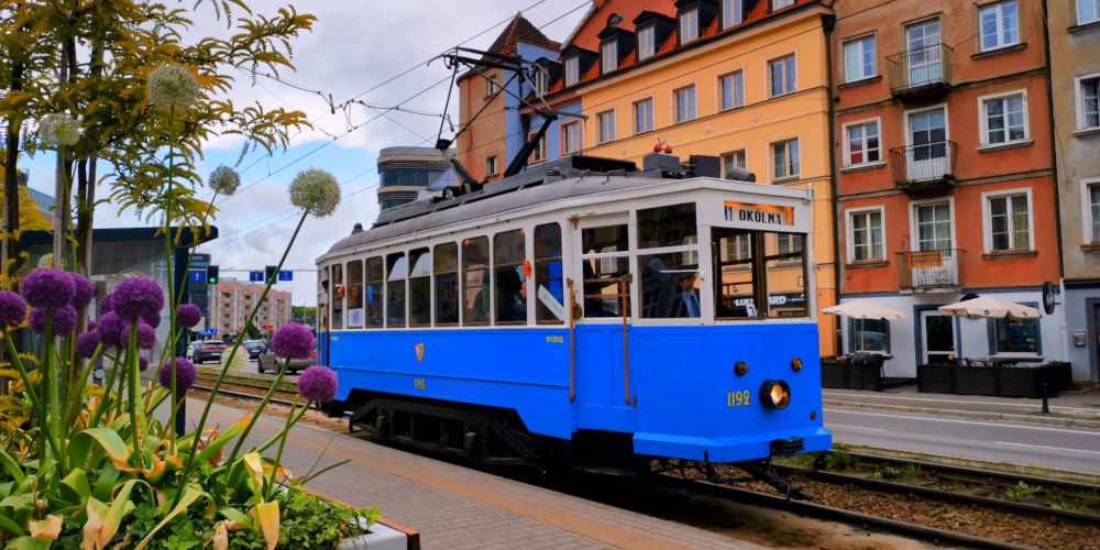 Sezon wakacyjny na Wrocławskich Liniach Turystycznych