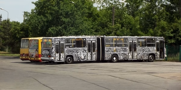 Autobus spod ręki ulicznych artystów (ZDJĘCIA)