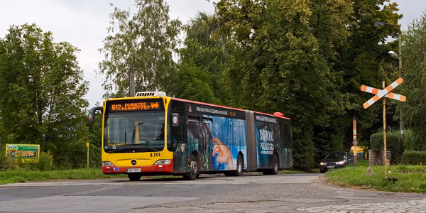 Jedna jaskółka wiosny nie czyni… a dwie?